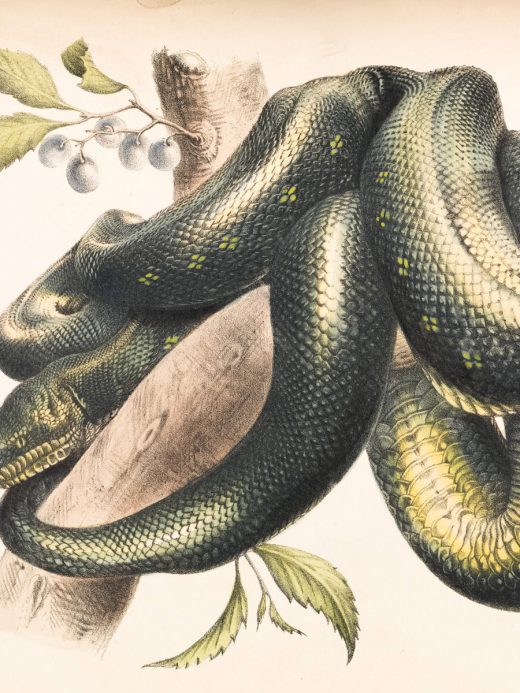 artwork-landscape-06-520x693